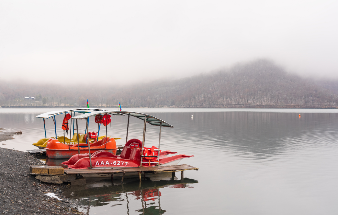 Image 84